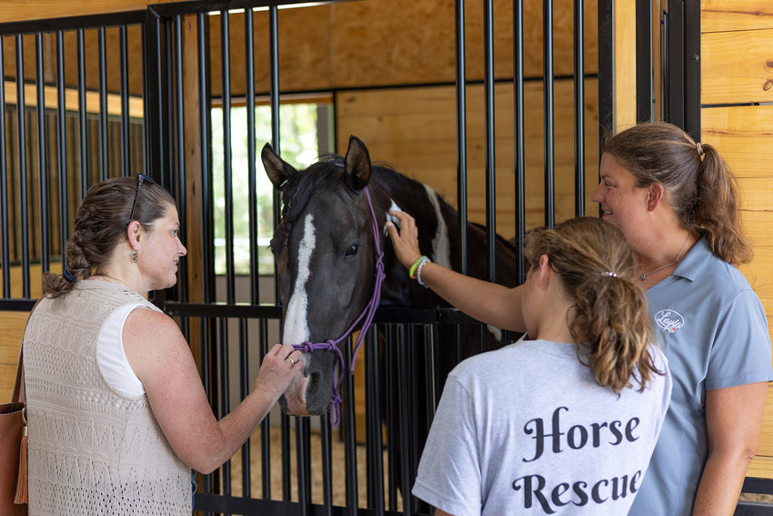Sandy Roberts (left), Catherine Hudson (right), and Hudson's daughter Alexa surround Shelby, a horse with a disease that will eventually cause her ligaments to give out.